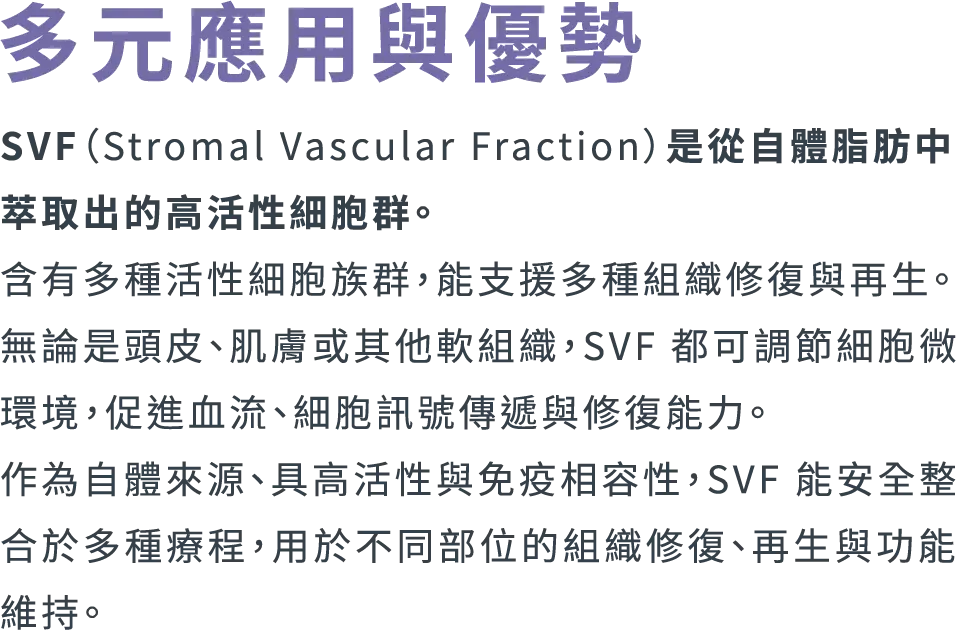 多元應用手機1@3x