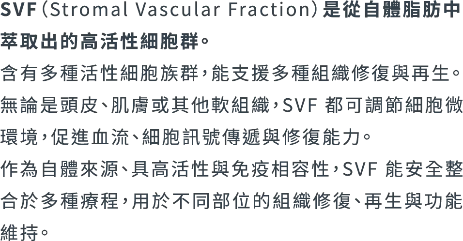 多元應用手機@3x