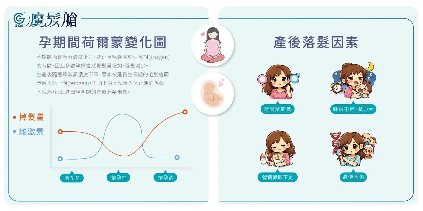 1 4 最新消息 產後落髮