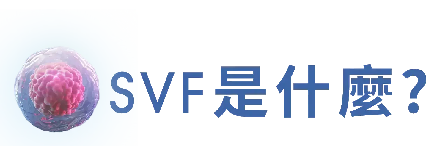 Svf1@3x