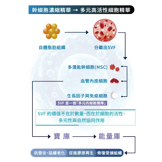 7 Svf是什麼 2
