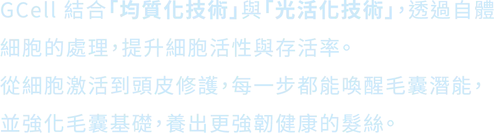 雙效核心手機2@3x