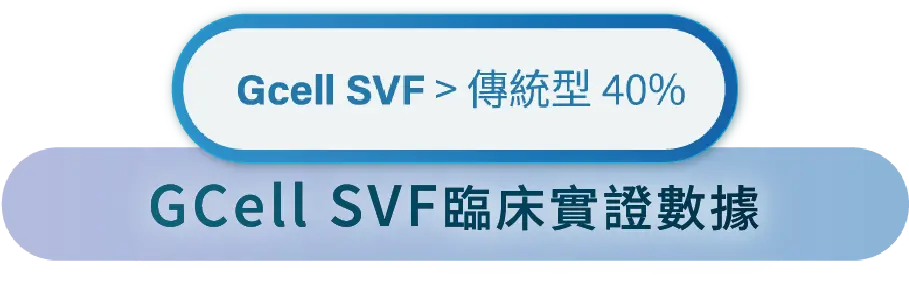Svf手機2@3x