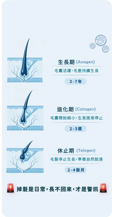 5 生長週期 2 補字