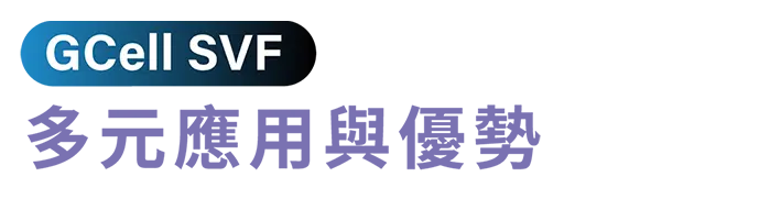 3 Svf多元應用 2 補字