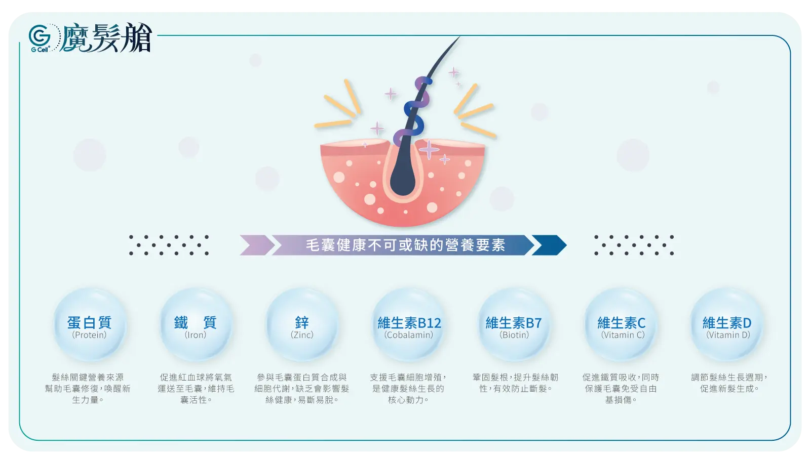 1 2 最新消息 營養要素