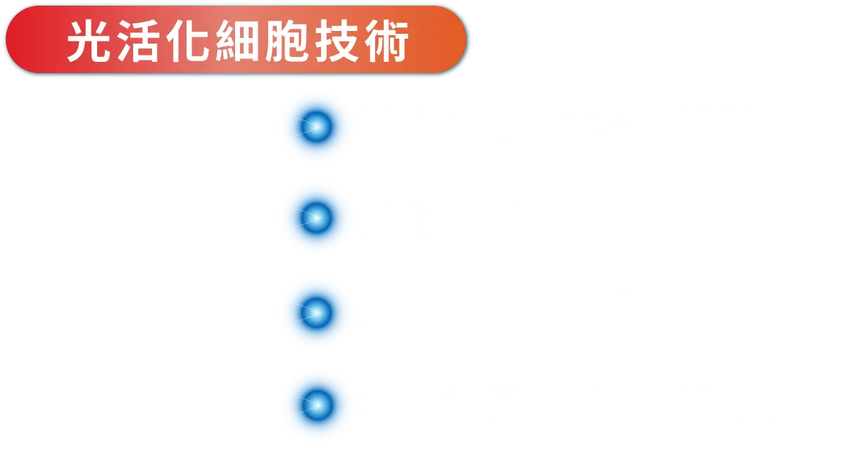 1 光球霓虹 紅 5