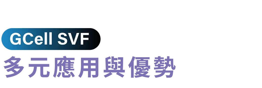 4 Svf 2 補字